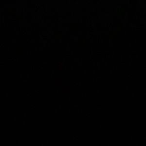 Meet your Posher, Amellia